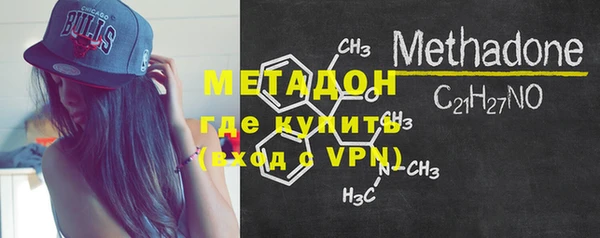 стаф Алексин