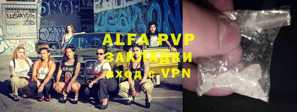 стаф Алексин