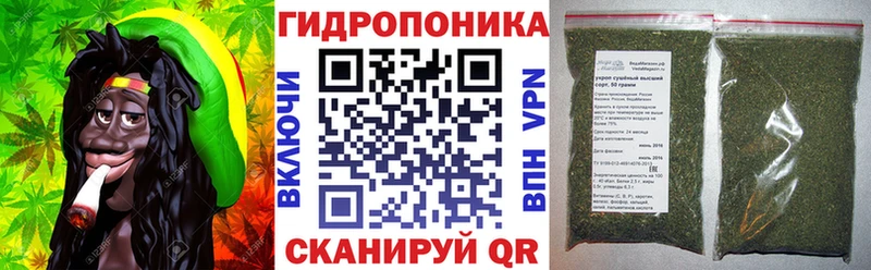 blacksprut вход  Новозыбков  Конопля сатива 